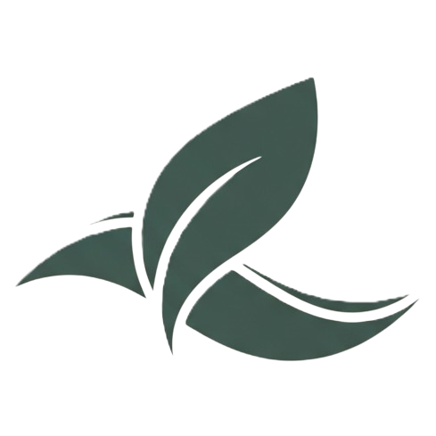 Wholesome Life Adventure